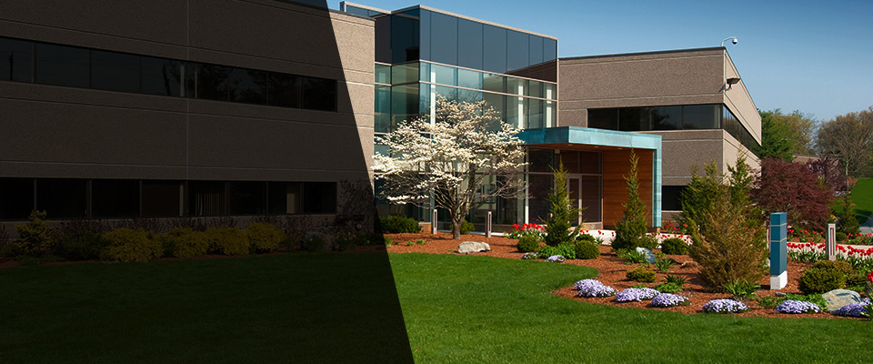 Davis Landscapers