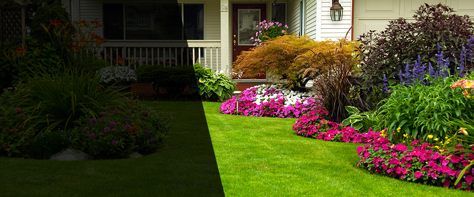 Davis Landscapers
