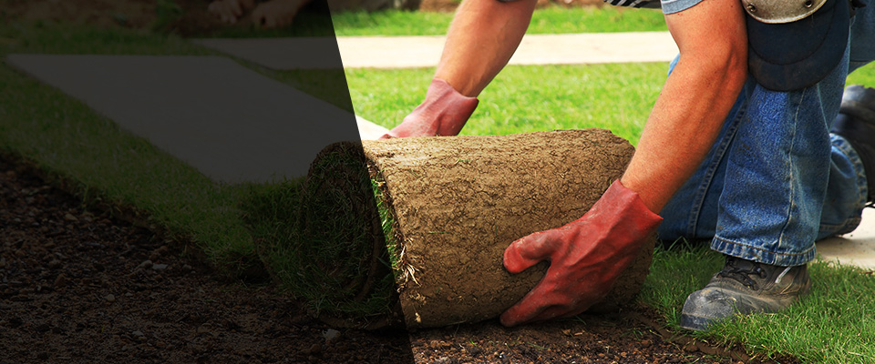 Davis Landscapers
